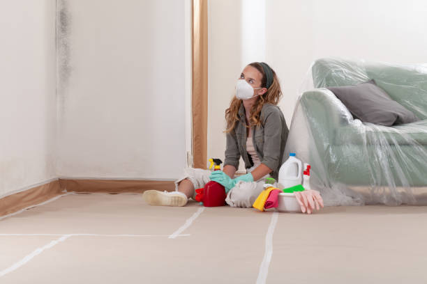 Reliable Commercial Mold Remediation contractor in Englewood, TN by WQB Mold Removal